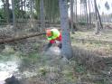 Bild 117